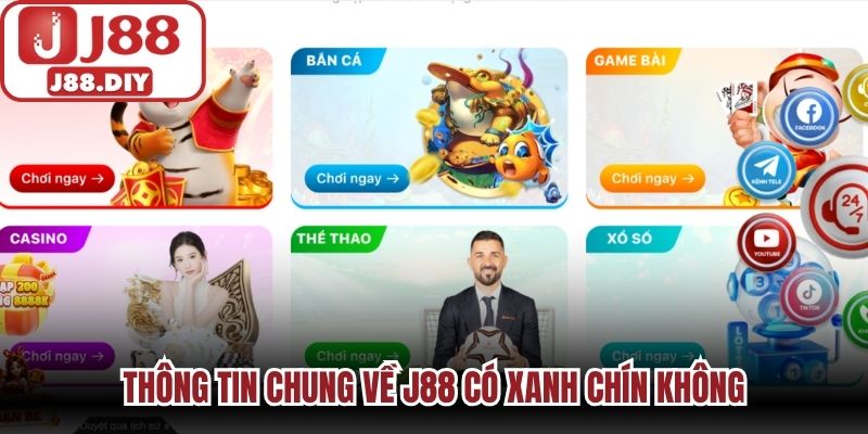 Thông tin chung về J88 có xanh chín không
