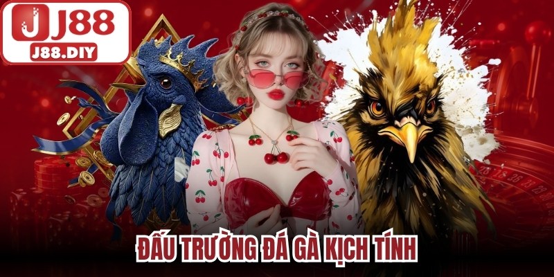 Đấu trường đá gà kịch tính